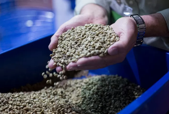 Busca por certificação cresce com a procura pelos consumidores de cafés mais sustentáveis