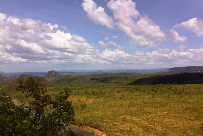 Solidaridad lança estudo sobre o uso eficiente da terra na expansão da soja no cerrado