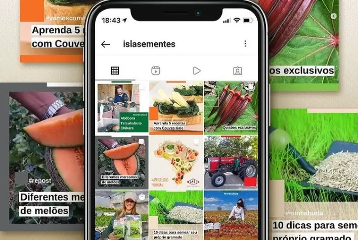 ISLA Sementes lança nova identidade visual em seu Instagram com linguagem objetiva para todos os públicos