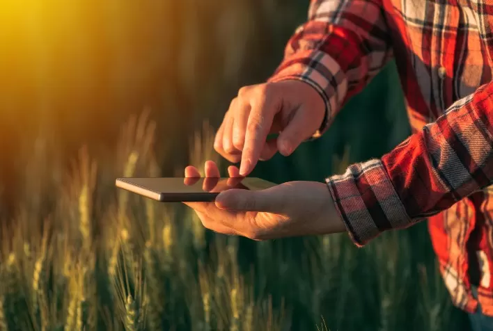 Solução digital de monitoramento de cultivos e aplicação de fertilizantes nitrogenados em taxa variável aumenta a produtividade dos agricultores