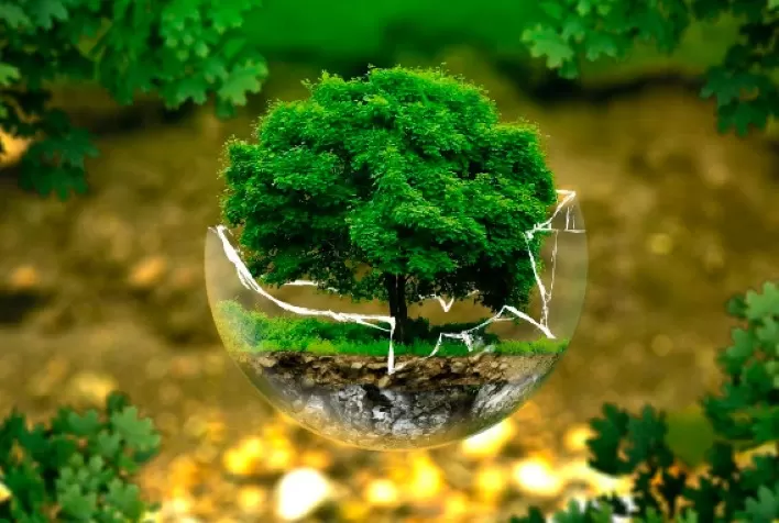 As quedas de braço nas negociações sobre mudança climática