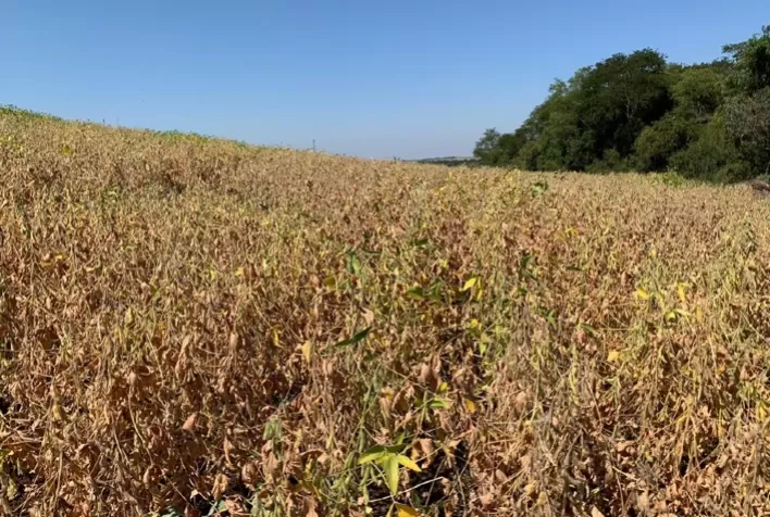 Produtor deve ficar atento às alterações de regras no Manual de Crédito Rural
