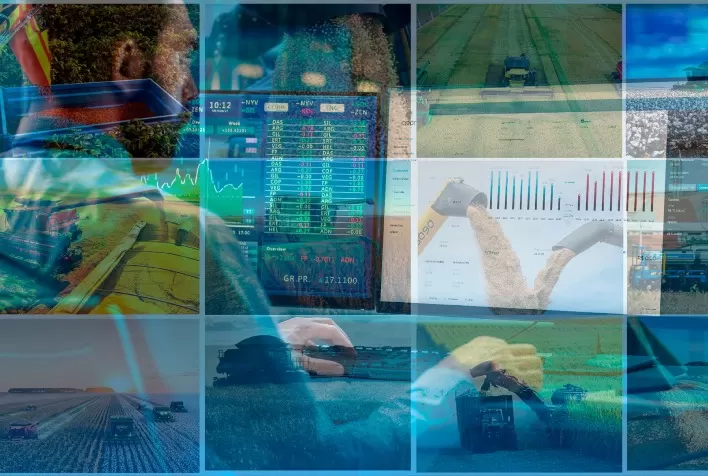 Agronegócio cresce e ganha espaço no mercado financeiro; saiba como investir