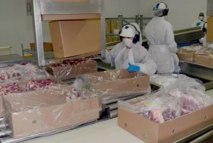 EXPORTAÇÕES: Fórum mostra que mercado halal vai muito além da proteína animal