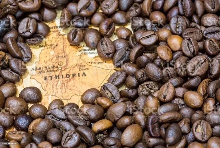 Bloomberg: Descumprimento de contratos de café na Etiópia ameaça oferta