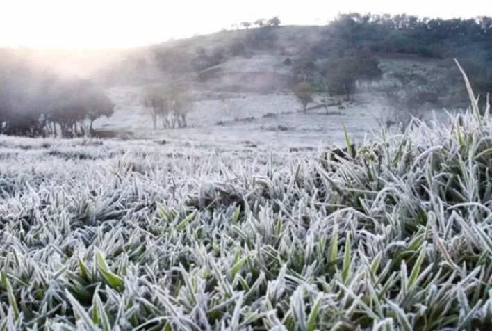 Perda de safra por variação climática não se enquadra na teoria da imprevisão