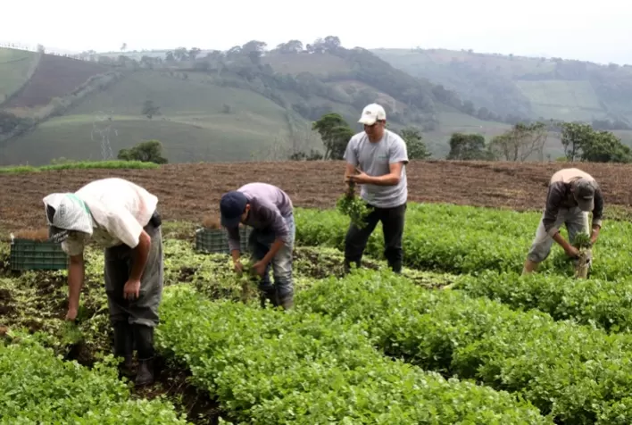 Brasil e Colômbia trocam experiências sobre políticas da agricultura familiar