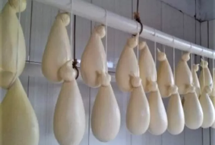 Pesquisa de identidade e qualidade do queijo Cabacinha será lançada em Itaobim