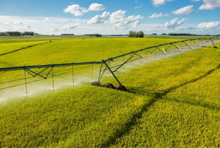 Tecnologia ajuda produtor a otimizar o uso dos insumos e ser eficiente na irrigação