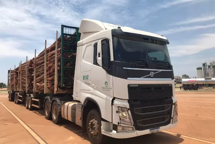 Eldorado Brasil amplia frota de caminhões e gera novos empregos no MS