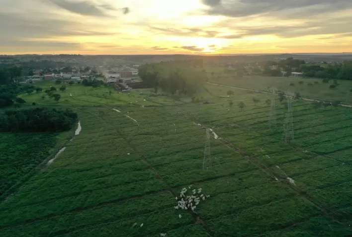 Indústria goiana de laticínios conquista premiação com projeto de preservação da água