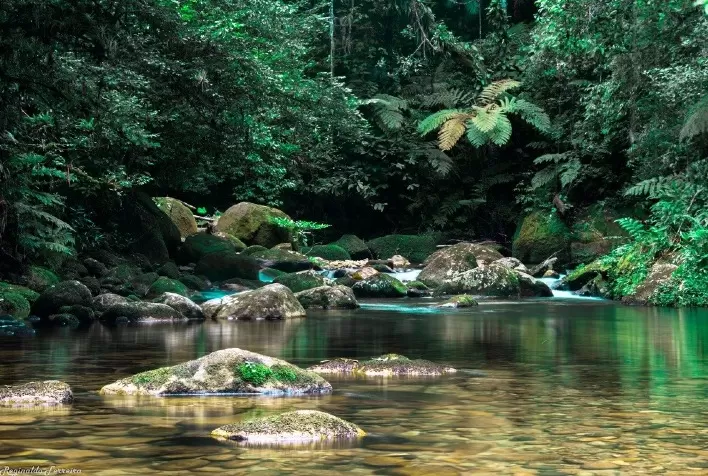 A crise hídrica e a Mata Atlântica