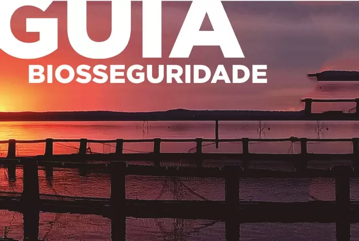 Peixe BR lança o Guia da Biosseguridade da Piscicultura Brasileira, com o cenário, as estratégias e as boas práticas de manejo sanitário para o sucesso da atividade no país