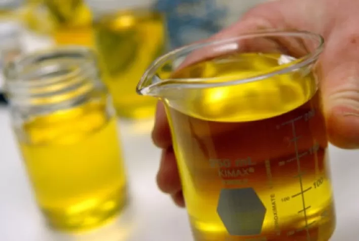 Brasil fixa mistura de biodiesel a 10% em 2022; setor vê destruição de programa