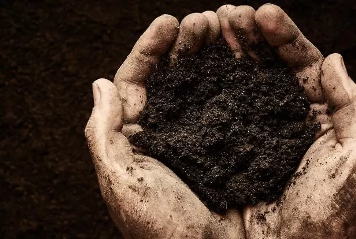 Boas práticas no manejo do solo ampliam potencial produtivo e sequestro de carbono nas lavouras