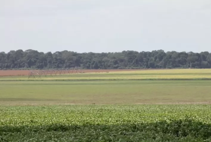 Regulamentação dos créditos de carbono é uma solução viável para reduzir a emissão de gás metano e aquecer a economia