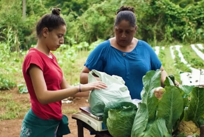 Conab e Ministério da Mulher, Família e Direitos Humanos buscam promover dignidade e autonomia econômica da mulher