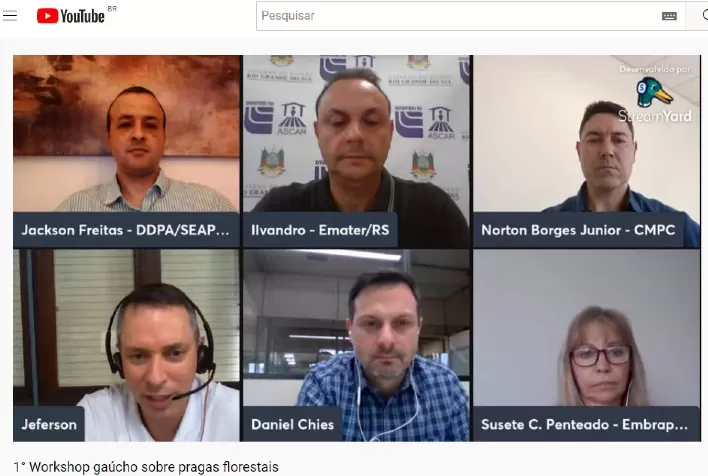 Workshop debate pragas florestais no Rio Grande do Sul