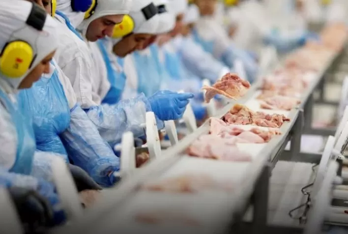Abertura de novas plantas de carnes do Brasil à Rússia reduz dependência chinesa – SAFRAS