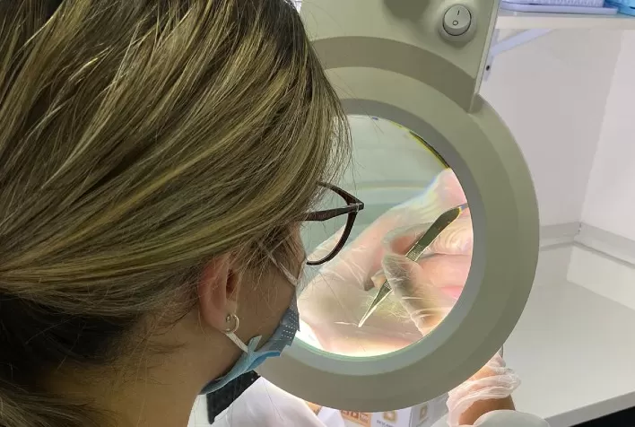 Saiba quais são os cuidados na coleta de material para exames de ovinos