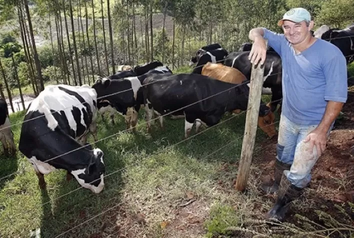 Novo Boletim da Agricultura Familiar dá destaque para cadeia produtiva do leite