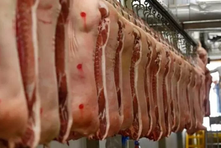 Exportações de carne suína do Brasil perdem força em novembro