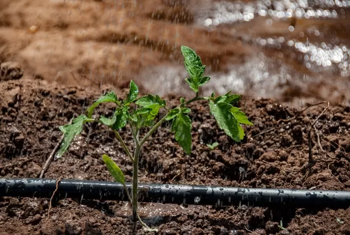 Irriga + RS: Avançar destina R$ 201,4 milhões a projetos de reservação de água e qualificação da irrigação