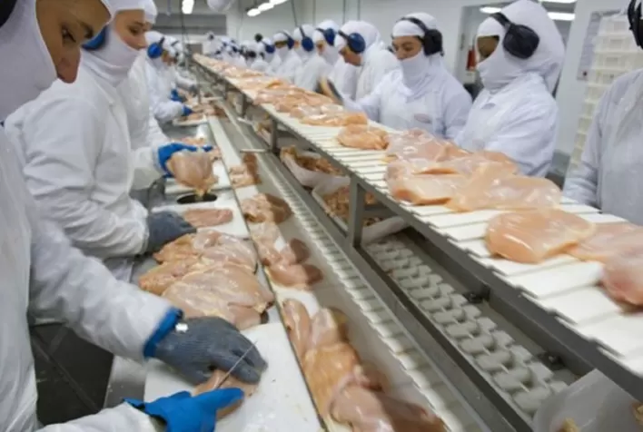 Carne de frango: tendências das exportações mundiais e das importações da China em 2022