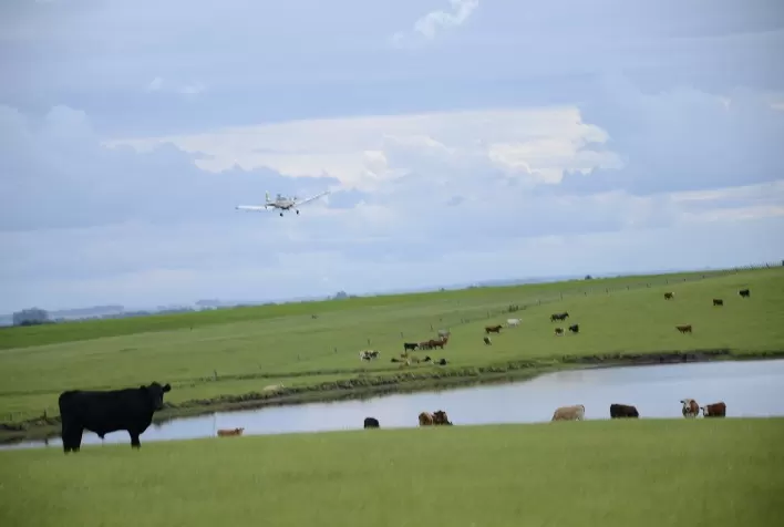 O que é preciso saber sobre compra e venda de imóvel rural