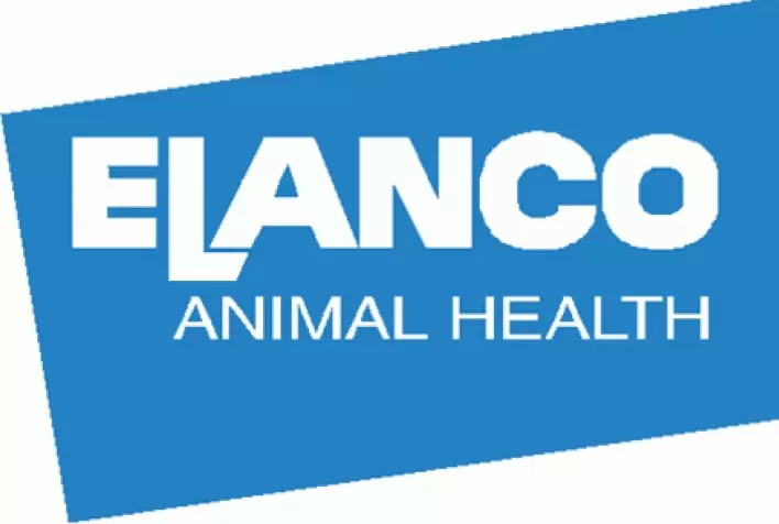 COP26: Elanco Saúde Animal participa das discussões sobre papel da pecuária nas mudanças climáticas