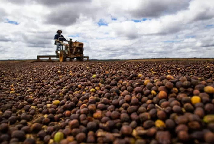 Café em Nova York volta a operar com baixas nesta 5ª feira; em Londres cenário é de estabilidade