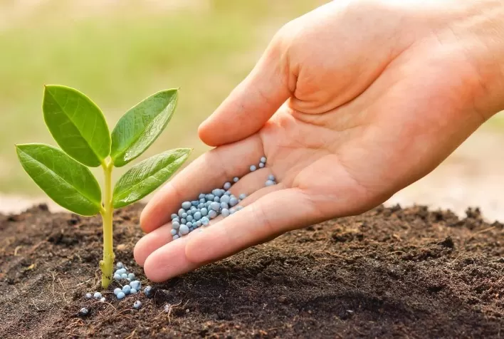 Setor dos fertilizantes especiais apresenta o seu propósito: A Produtividade Inteligente