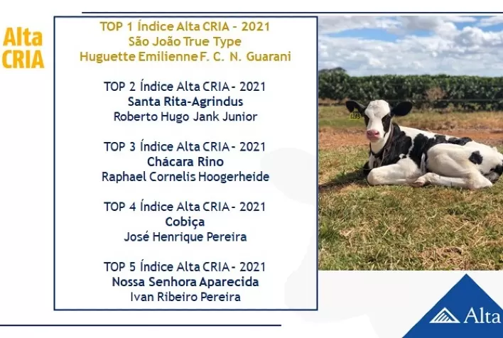 Alta realiza Dia de Campo para apresentação de dados e troca de experiências entre produtores da pecuária leiteira
