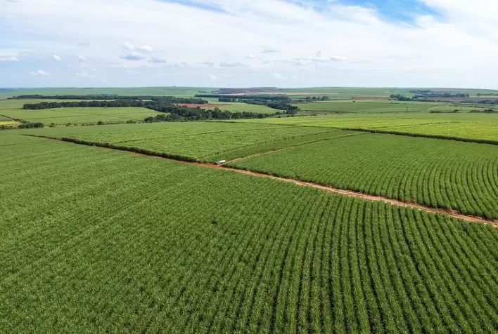 REGULARIZAÇÃO AMBIENTAL: Serviço florestal e estados avançam na análise de dados dos cadastros rurais do país