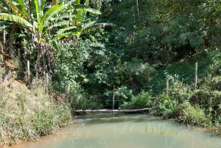 Cercamento de qualidade contribui para preservação de nascentes na bacia do Rio Santa Maria da Vitória, no Espírito Santo