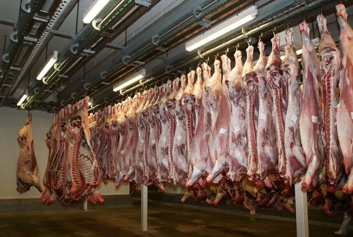“Retomada das exportações de carne para a China é a melhor notícia do final de ano para a pecuária brasileira”, diz presidente da Associação dos Criadores de Nelore do Brasil (ACNB)