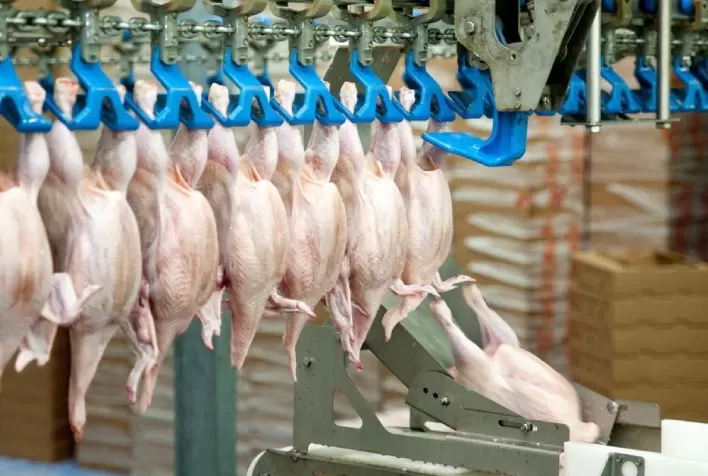 Entre janeiro e novembro, receita cambial das carnes aumentou 16,22%