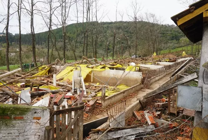 Nos EUA, tornados mortais destroem incubatório, silos e tratores