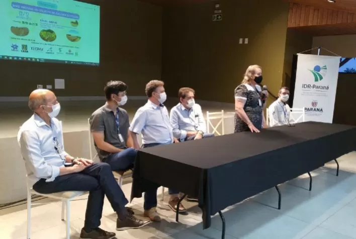 Em nota técnica, IDR-Paraná divulga orientações sobre colheita de feijão