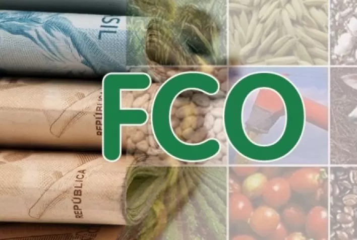 FCO Rural: em 2021, valor total de financiamentos aprovados cresceu 112,5% em relação ao ano passado