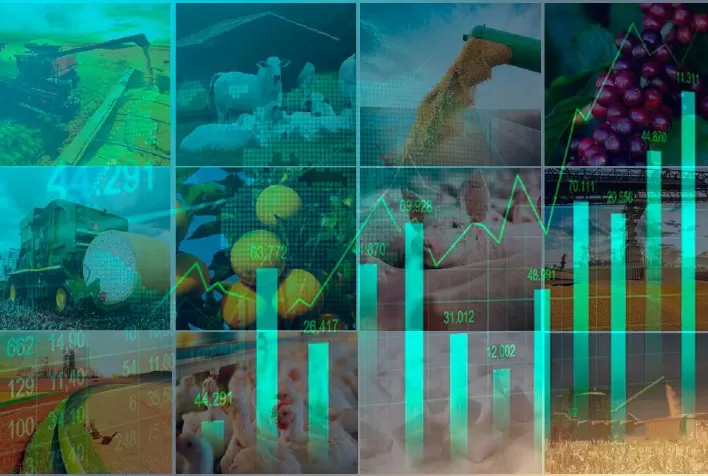 Bahia tem maior PIB Agropecuário do Brasil