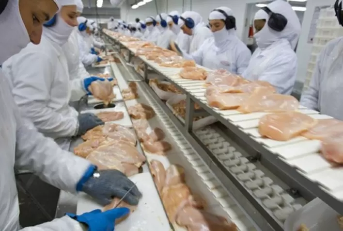 Carne de frango: receita cambial dos quatro itens exportados aumentou entre 19% e 37%