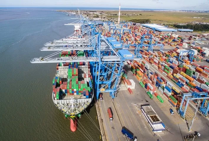 Wilson Sons tem crescimento de 50% na exportação de móveis no Tecon Rio Grande em 2021