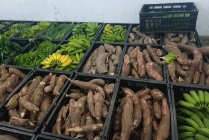 Cerca de 2,4 mil agricultores familiares são beneficiados pelo Programa de Aquisição de Alimentos em 2021