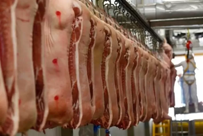 Dados preliminares indicam que a exportação de carne suína in natura cresceu 10,8% no volume e 2,6% na receita em dezembro