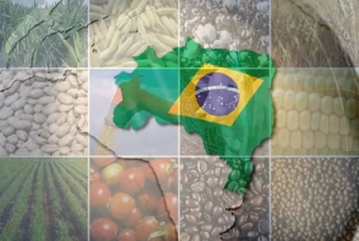 Agronegócio: Um exemplo de Brasil que funciona - Por J. R. Guzzo