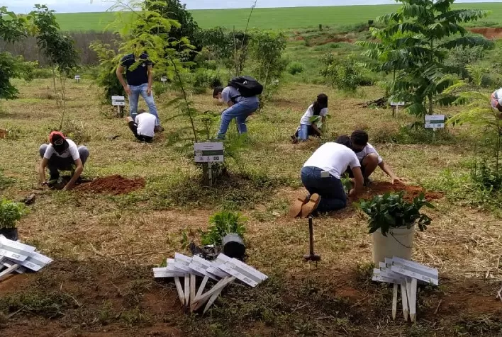 CAT Sorriso apresenta balanço do Projeto Cultivando Vida Sustentável