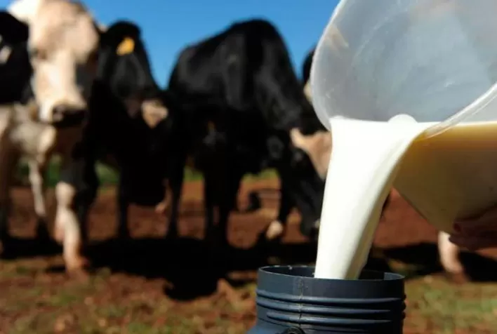 Produção de leite deverá crescer 2% ao ano nos próximos dez anos no Brasil