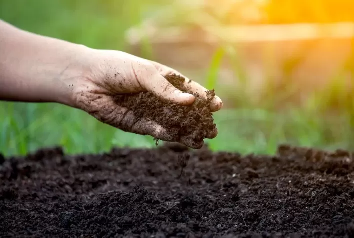 Novas tecnologias para o agro: controle biológico será essencial no setor nos próximos anos