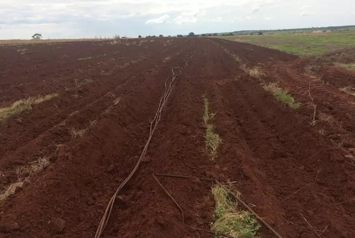 Netafim e Andros desenvolvem tecnologia prática, mais barata e que respeita normas ambientais para reforma de canaviais que utilizam sistemas de irrigação por gotejamento
